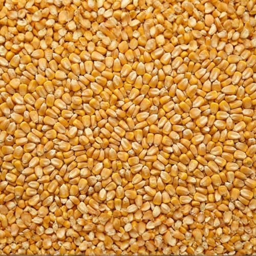 Agrarzone — Maïs bio entier 20 kg — vue 2